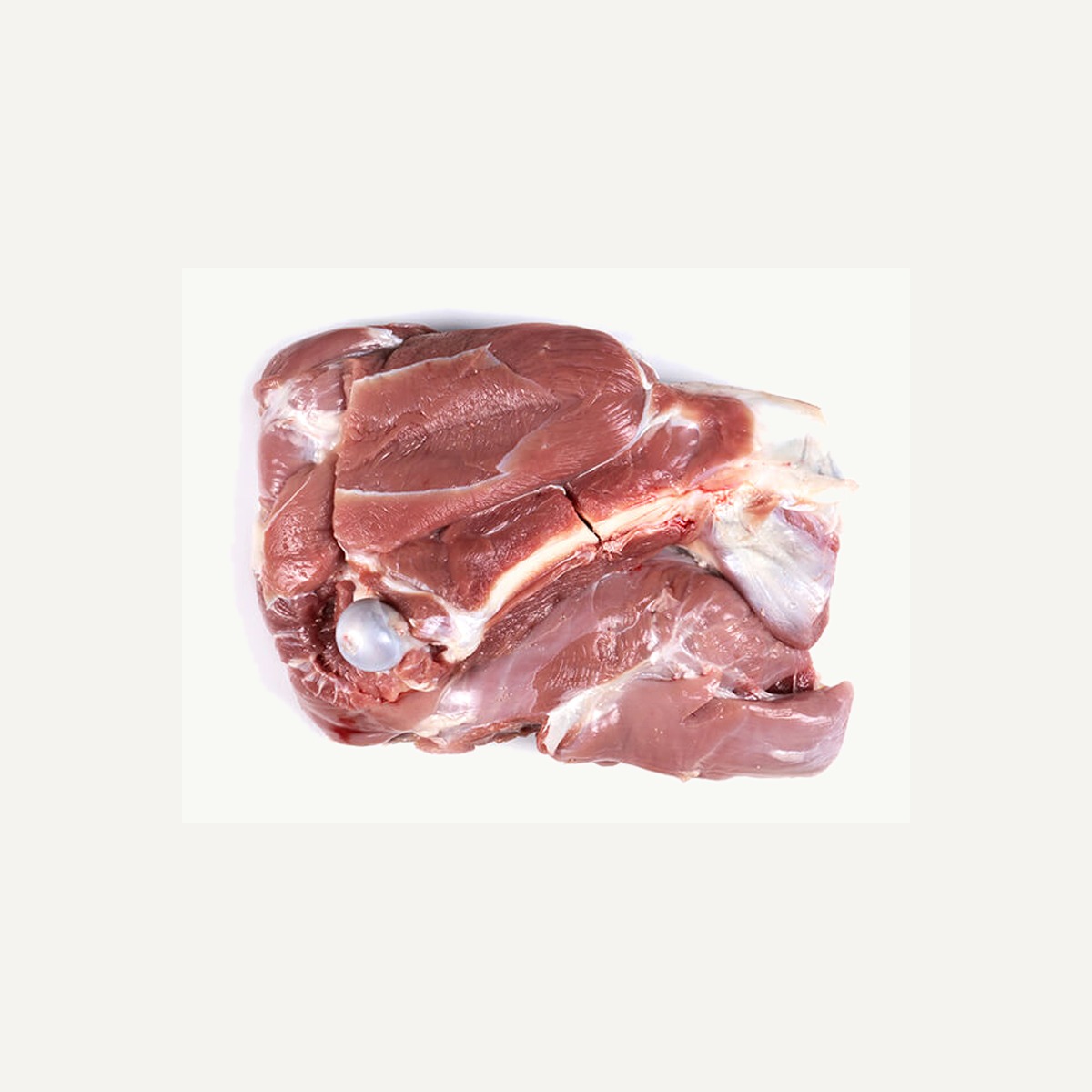 Raw unseasoned bone-in lamb leg