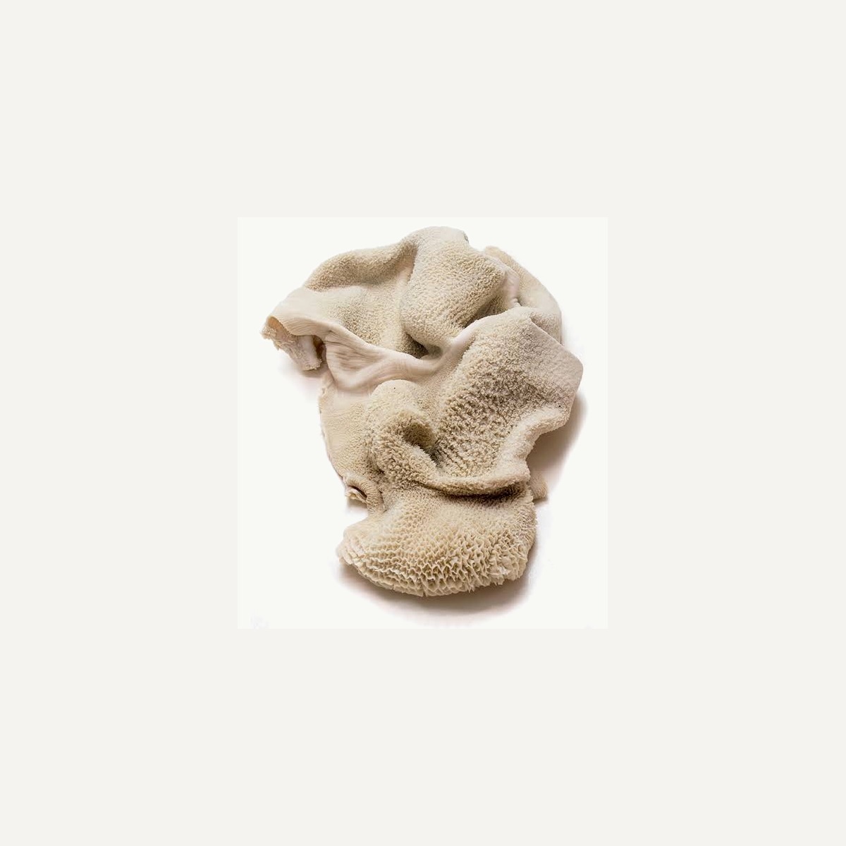 Raw Goat Tripe
